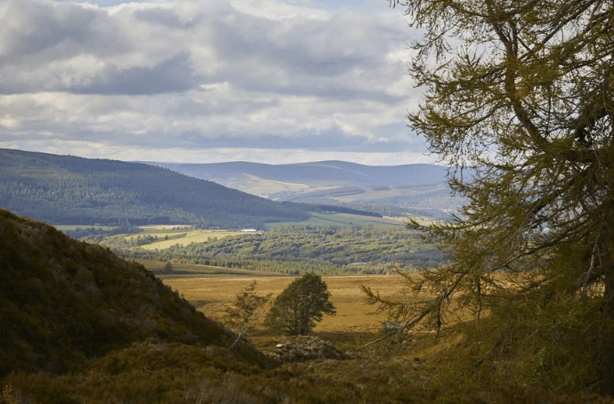 Panorama of the Speyside region